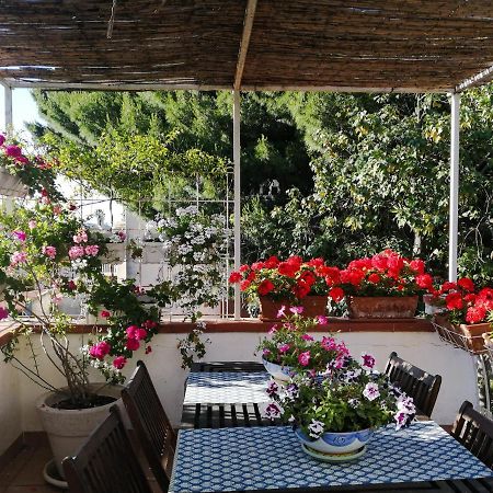 La Stanza Di Angi A Mondello Hotell Palermo Eksteriør bilde
