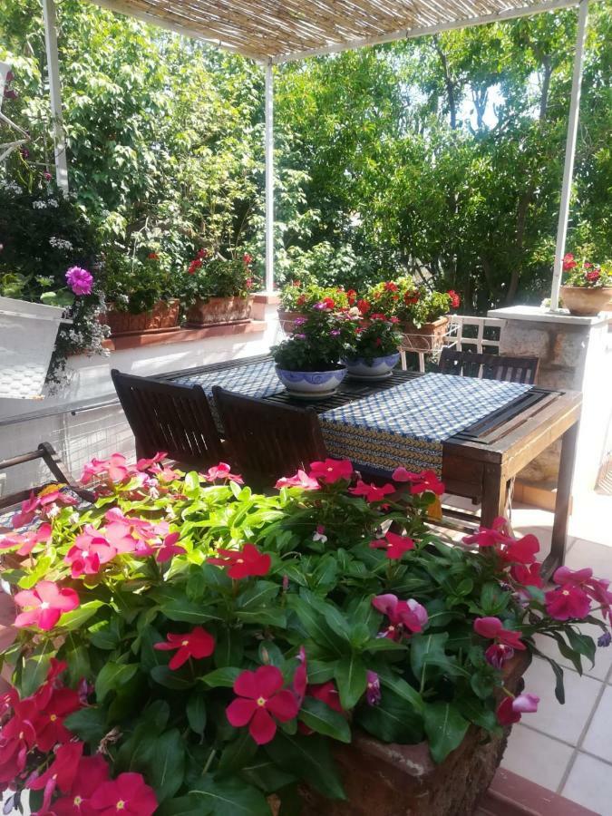La Stanza Di Angi A Mondello Hotell Palermo Eksteriør bilde