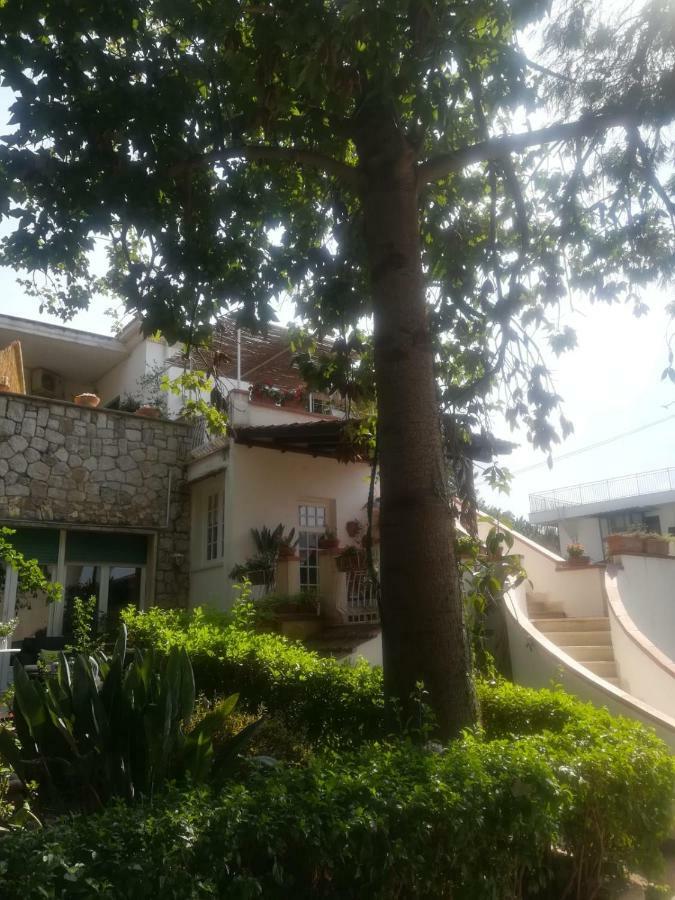 La Stanza Di Angi A Mondello Hotell Palermo Eksteriør bilde