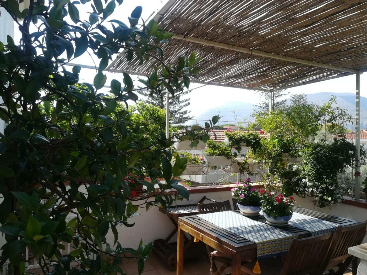 La Stanza Di Angi A Mondello Hotell Palermo Eksteriør bilde