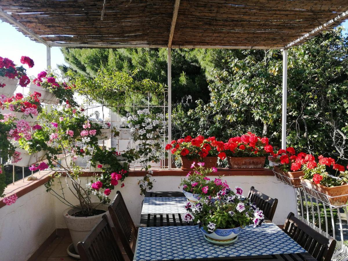 La Stanza Di Angi A Mondello Hotell Palermo Eksteriør bilde